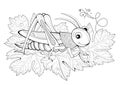 Cute cricket. Coloring book for children and adults. Illustration in zentangle style. Printable page for drawing and meditation.