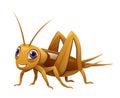 Cute cricket insect cartoon illustration Royalty Free Stock Photo
