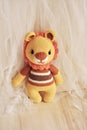 Cute crochet baby lion in vintage background, toys kids, handmade toys, baby animal, zoo, preschool, children, childhood memory, b