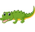 Cute crocodile cartoon Royalty Free Stock Photo