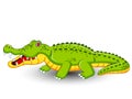 Cute Crocodile cartoon vector Royalty Free Stock Photo