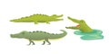 Cute Crocodile set. Alligator vector cartoon illustration Royalty Free Stock Photo