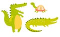 Cute crocodiles and turtle family. Vector illustration
