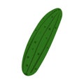 Cute cucumber isolated on white background. Doodle vegetable