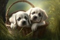 Cute and Cuddly Adorable White Puppies Animal Couple Portrait in a Basket, Summer Grass Generative AI