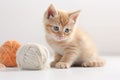 A cute and cuddly kitten playing with a ball of yarn Generative AI Royalty Free Stock Photo