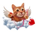 Cute Cupid Cat