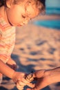 Cute curious kid girl toddler portrait playing on beach with hermit crab during summer vacation concept childhood lifestyle Royalty Free Stock Photo