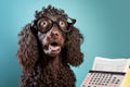 cute curly-coated retriever dog in glasses with surprised eyes counting taxes, created with Generative AI technology Royalty Free Stock Photo