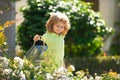 Cute curly little boy child in a summer dress working in the garden watering flowers. Kids gardening. Children working Royalty Free Stock Photo