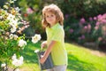 Cute curly little boy child in a summer dress working in the garden watering flowers. Kids gardening. Children working Royalty Free Stock Photo
