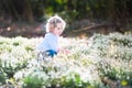 Cute curly toddler girl playing with first spring flowers Royalty Free Stock Photo