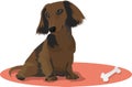 Cute dachshund Royalty Free Stock Photo