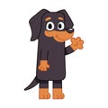 vector cute dachshund cartoon illustration isolated