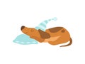 Cute Dachshund Dog Animal Sleeping on Pillow Vector Illustration