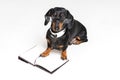 Cute dachshund dog, black and tan, in glasses and on open book, note pad, on gray background