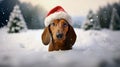 A cute dachshund dog chest deep in the snow looking into the camera, wearing Santa Claus\' hat.