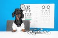 Cute dachshund dog ophthalmologist in doctor uniform with robe and head mirror, glasses for vision correction on the