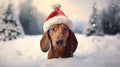 A cute dachshund dog standing chest deep in the snow, looking into the camera, wearing Santa Claus hat. Winter landscape, snow Royalty Free Stock Photo