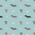 Cute dachshund pattern illustration wiener dog