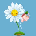 Cute daisies are watering itself