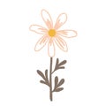 Cute daisy in folk Scandinavian style, isolated vector illustration. Adorable design element for craft products