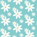 Cute Daisy Pattern. Royalty Free Stock Photo