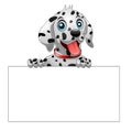 Cute Dalmatian Dog