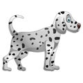 Cute Dalmatian Dog