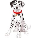 Cute Dalmatian Dog Royalty Free Stock Photo