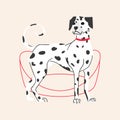 Cute Dalmatian dog isolated on beige background. Vector flat cartoon illustration