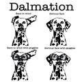 Cute Dalmatian dog with motorbike goggles and ears flapping in wind Royalty Free Stock Photo