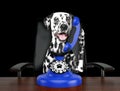 Cute dalmatian dog is talking by blue old dial telephone. Isolated on black Royalty Free Stock Photo