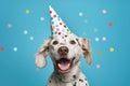 Cute Dalmatian dog wearing birthday hat. Perfect for celebrating dog's birthday or any pet-related occasions Royalty Free Stock Photo