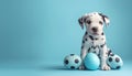 Cute Dalmatian puppy with blue Easter eggs on blue background, copy space Royalty Free Stock Photo