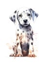 Cute Dalmatian puppy on white background. Royalty Free Stock Photo