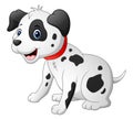 Cute dalmatic dog