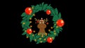 Loop. Cute dancing deer inside Christmas wreathe with red baubles and lights. Transparent background. Christmas reindeer