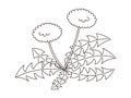 Cute dandelion line drawing illustration