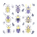 Cute decorativ vector set of different doodle bugs, beetles, leafs and branch. Vector design insect collection isolated