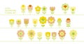 Cute decorative flower design elements set Royalty Free Stock Photo