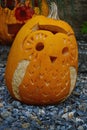 Cute decorative owl pumpkin jack o`lantern with carved feathers and wings, placed in front of other scary pumpkin