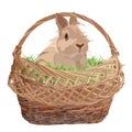 Cute decorative rabbit in wicker basket, vector flat illustration