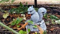 Cute Decorative squirrel in a Garden Setting