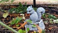 Cute Decorative squirrel in a Garden Setting Royalty Free Stock Photo