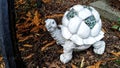 Cute Decorative Turtle in a Garden Setting