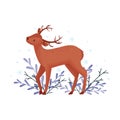Cute Deer Animal Standing Beside Winter Flora Vector Illustration