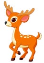 Cute deer cartoon