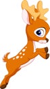 Cute deer cartoon