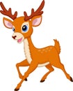 Cute deer cartoon running